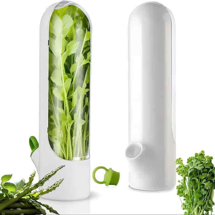 Conservador de Vegetales y Hierbas Frescas