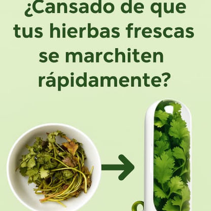 Conservador de Vegetales y Hierbas Frescas