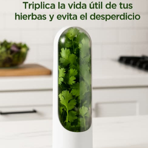 Conservador de Vegetales y Hierbas Frescas