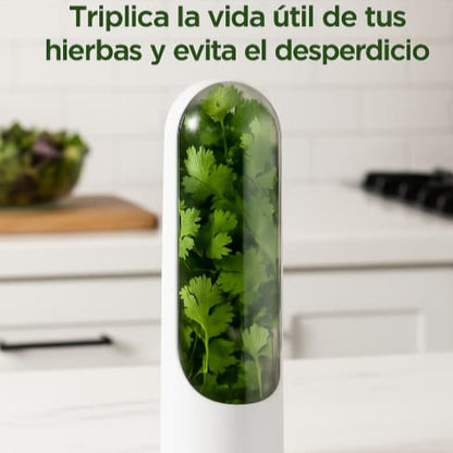 Conservador de Vegetales y Hierbas Frescas