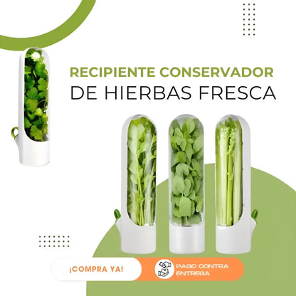Conservador de Vegetales y Hierbas Frescas