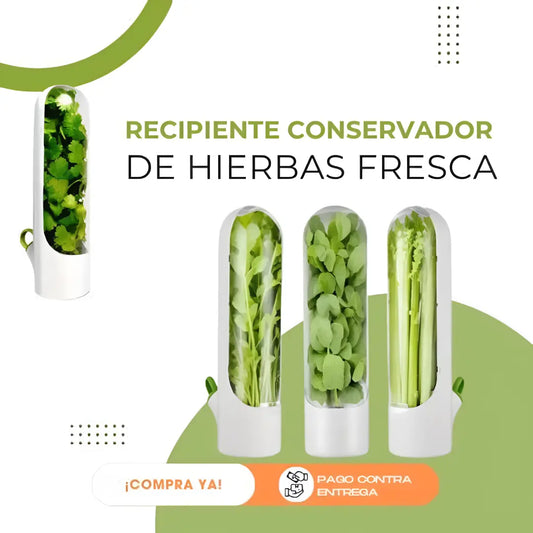 Conservador de Vegetales y Hierbas Frescas